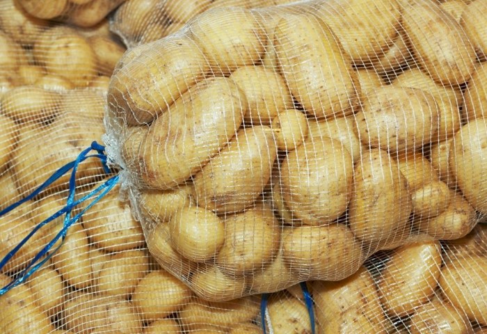 Сколько белорусам заплатят за овощи, грибы и ягоды: актуальные цены