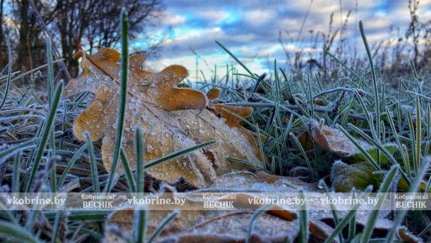 Заморозки и гололедица: что приготовила погода белорусам на следующей неделе