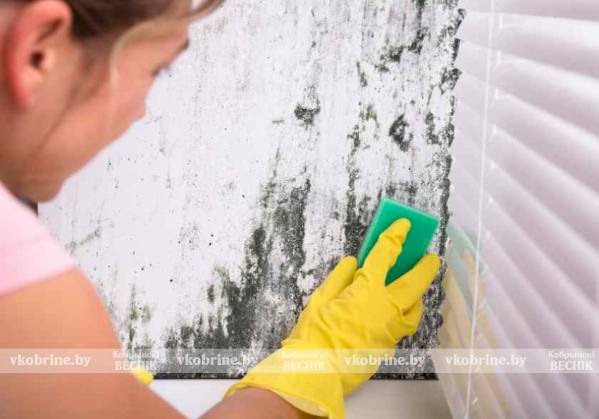 Как избавиться от сырости на стенах