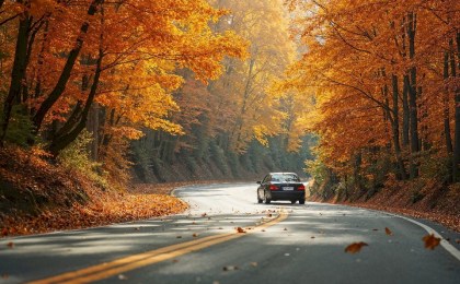 Ключевой сектор экономики - 26 октября в Беларуси отметят День автомобилиста и дорожника