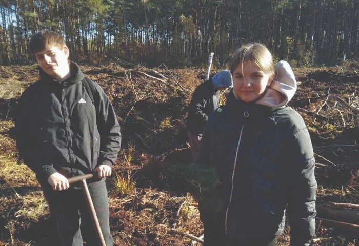 Посадка леса: совместные усилия жителей Залесья для зеленого будущего