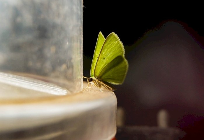 Летят на пламя мотыльки - о проблемах наркомании и ситуации на Кобрищине поговорили с экспертами