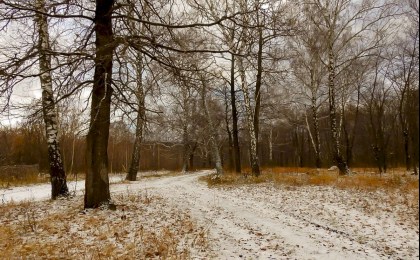 Скоро зима: синоптик Дмитрий Рябов предупредил о первых снежинках и гололеде в ноябре
