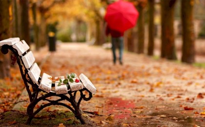 Чем обернется публикация чужого фото в интернете: правовой ликбез