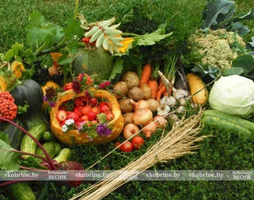 Поздравление руководства Кобринского района с Днем работников сельского хозяйства и перерабатывающей промышленности