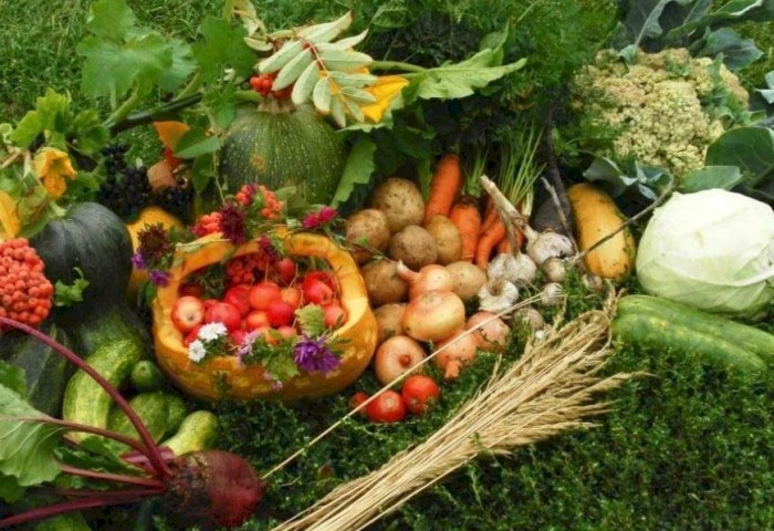 Поздравление руководства Кобринского района с Днем работников сельского хозяйства и перерабатывающей промышленности