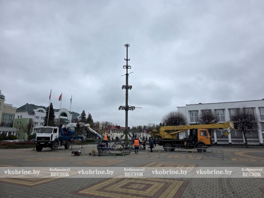 В Кобрине начали установку новогодней елки (ВИДЕО)