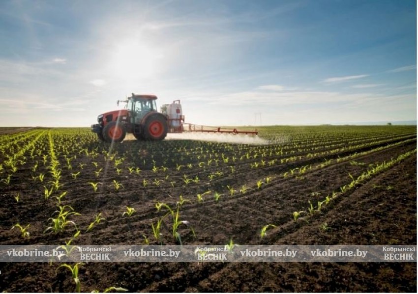 Труд аграриев — основа благосостояния страны: статистический обзор к профессиональному празднику