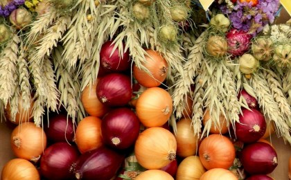 Поздравление Президента Александра Лукашенко с Днем работников сельского хозяйства и перерабатывающей промышленности