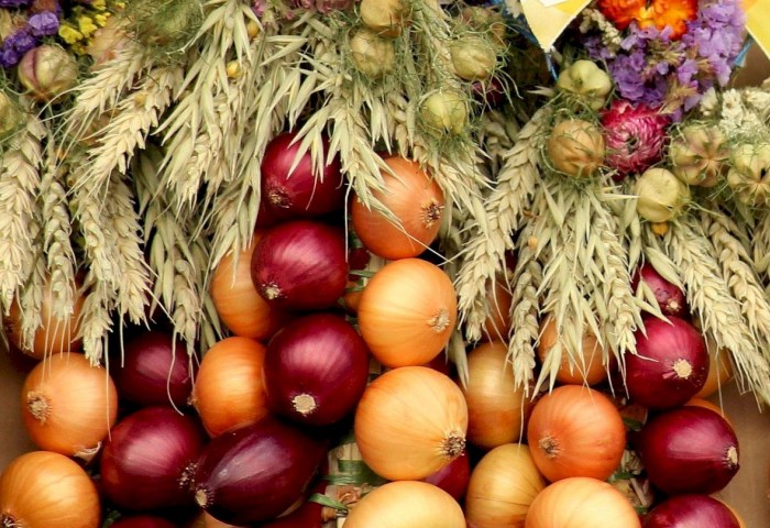 Поздравление Президента Александра Лукашенко с Днем работников сельского хозяйства и перерабатывающей промышленности