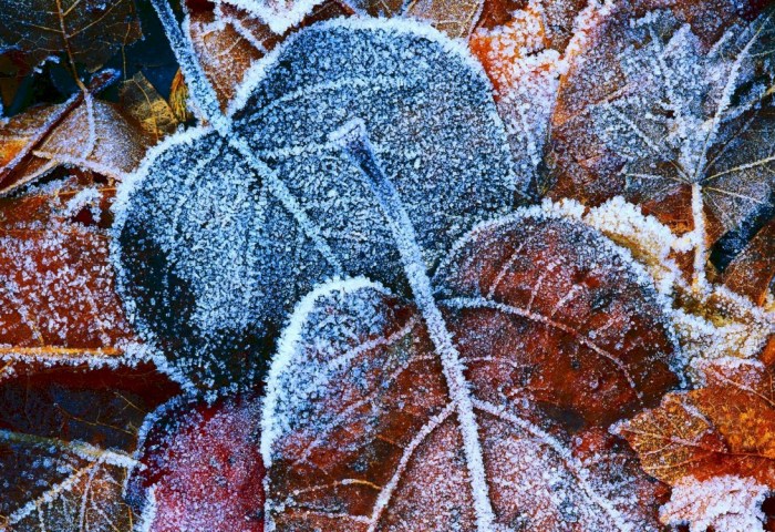 Когда ждать холода: прогноз синоптика Дмитрия Рябова на следующую неделю