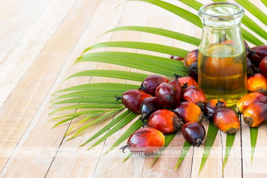 Врач разъяснила, действительно ли пальмовое масло опасно для здоровья