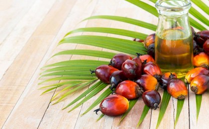 Врач разъяснила, действительно ли пальмовое масло опасно для здоровья