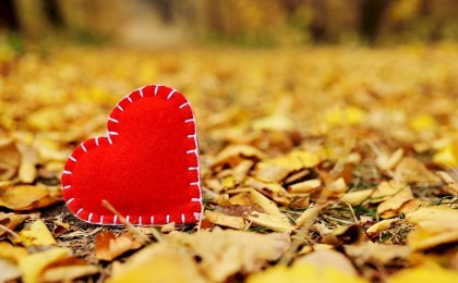 Любовь побеждает: на 6 свадеб пришлось всего 2 развода - статистика Кобринского ЗАГСа за прошлую неделю