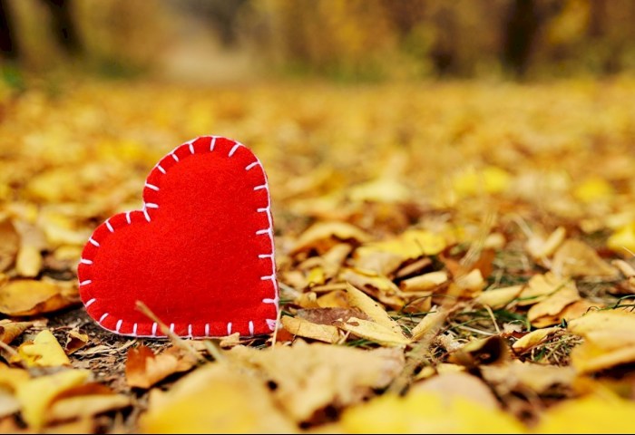 Любовь побеждает: на 6 свадеб пришлось всего 2 развода - статистика Кобринского ЗАГСа за прошлую неделю