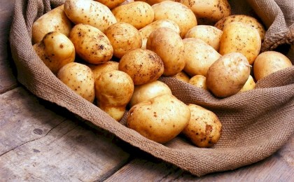 МАРТ установил предельные цены на картофель до конца мая 2026 года: дефицита не ожидается