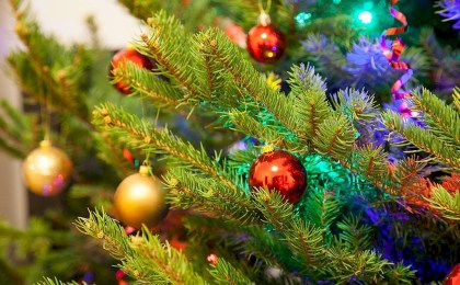 Когда ставить елку? Праздничный календарь дат, которые обещают чудеса