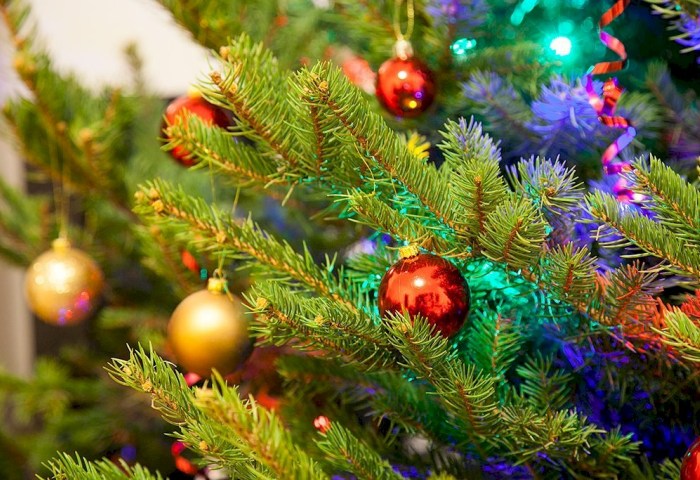 Когда ставить елку? Праздничный календарь дат, которые обещают чудеса
