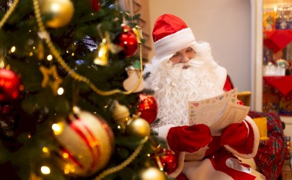 От Беловежской пущи до Полесья — 12 мест, где в Беларуси можно встретить Деда Мороза