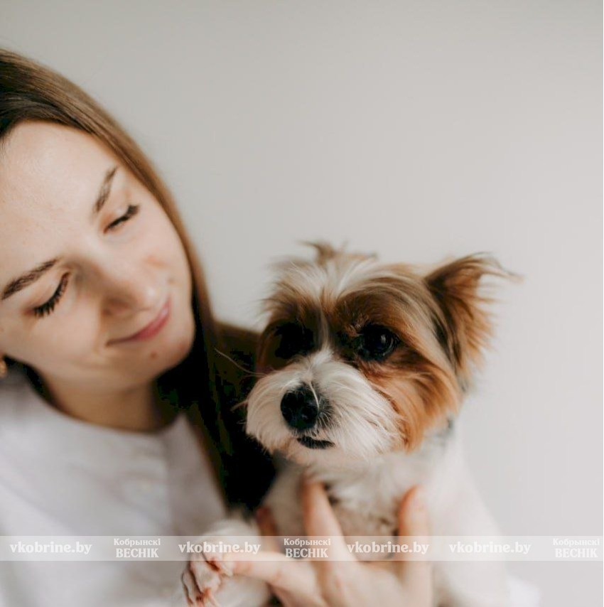 Больше, чем профессия: ветеринарная клиника «Акита Ину», где главное лекарство - сострадание и любовь к каждому пушистому пациенту