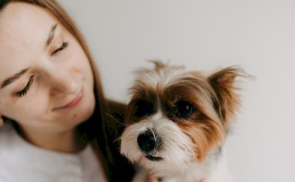 Больше, чем профессия: ветеринарная клиника «Акита Ину», где главное лекарство - сострадание и любовь к каждому пушистому пациенту