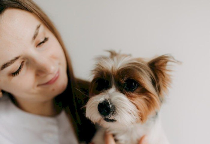 Больше, чем профессия: ветеринарная клиника «Акита Ину», где главное лекарство - сострадание и любовь к каждому пушистому пациенту