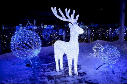 Создадим праздник вместе - в Кобринском районе объявлен конкурс на лучшее новогоднее оформление зданий и территорий