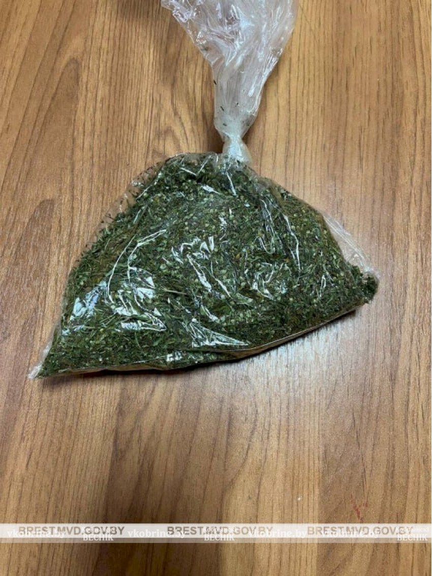 Незаконное хранение наркотиков в Кобрине: фигуранту грозит серьезный срок
