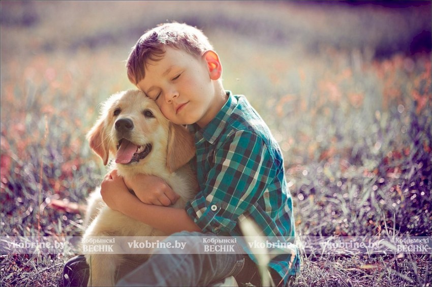 Белорусских школьников будут обучать любви к животным? Узнали, каким образом