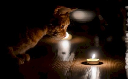 Узнали график отключения света в Кобринском районе с 22 по 24 декабря - ищите свой адрес