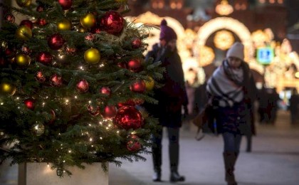 Идете на новогодние гулянья? МВД напоминает, что нельзя проносить и как пройти досмотр