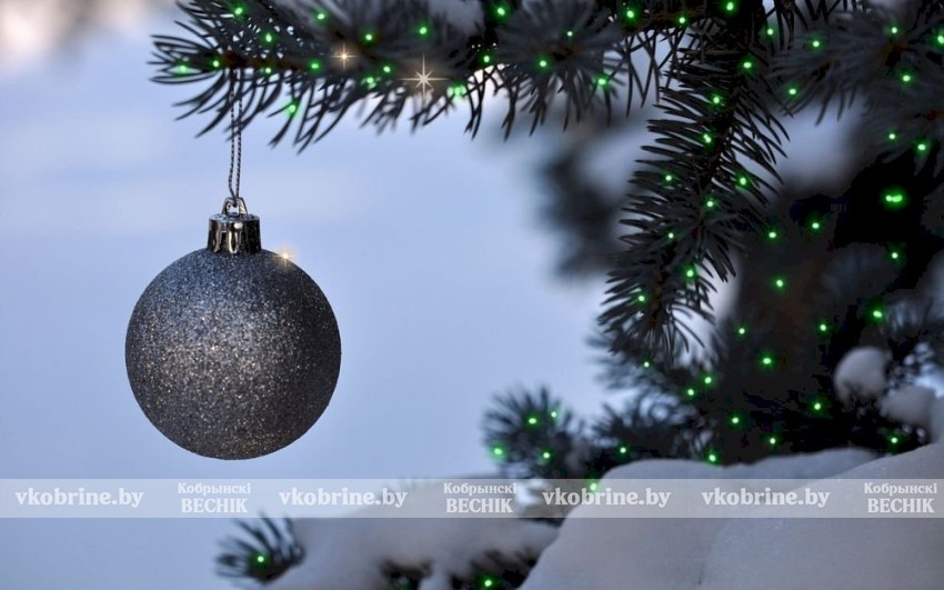 Правила зимнего волшебства: о чем напоминают спасатели Кобринщины юным горожанам