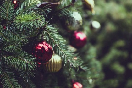 Поздравление депутата Полины Василюк с наступающим 2026 годом!