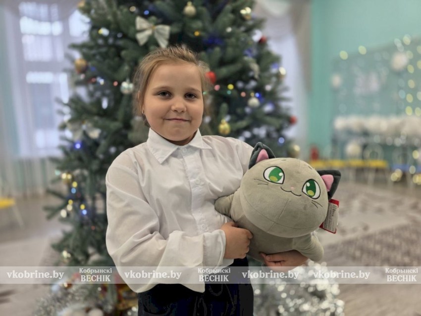 Более 300 желаний школьников Кобринщины исполнили помощники Деда Мороза в рамках акции «Елка желаний» (Фото и видео)