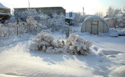 Снег на даче: когда его нужно убирать и в каких случаях лучше не трогать