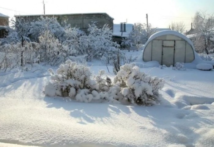 Снег на даче: когда его нужно убирать и в каких случаях лучше не трогать