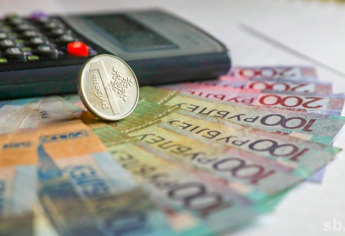 Как накопить дополнительную пенсию - все нюансы разъяснила начальник Кобринского районного ФСЗН Марина Хуснутдинова