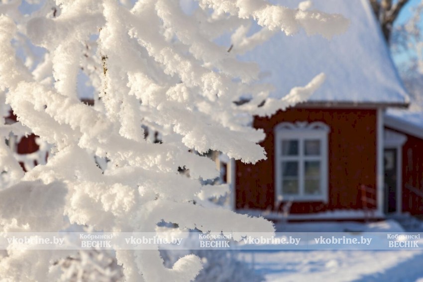 95% кооперативов получили четкие границы на карте — что изменилось для дачников?