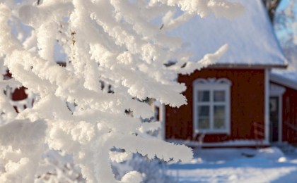 95% кооперативов получили четкие границы на карте — что изменилось для дачников?