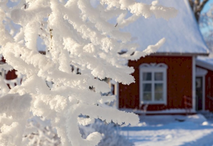 95% кооперативов получили четкие границы на карте — что изменилось для дачников?