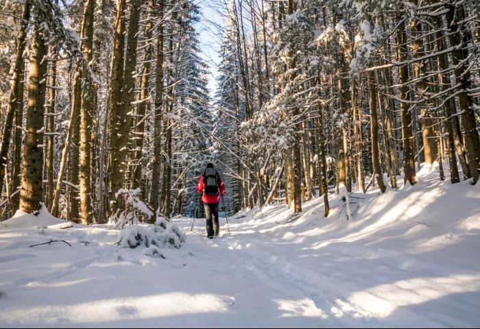 30–50% меньше шансов заболеть: сколько нужно гулять зимой для укрепления иммунитета
