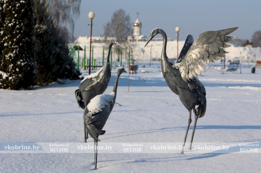 Снежная сказка в объективе - фотопрогулка по январскому Кобрину