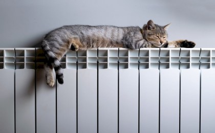 Можно ли бесплатно утеплить наружные стены собственной квартиры — ответили в ЖКХ