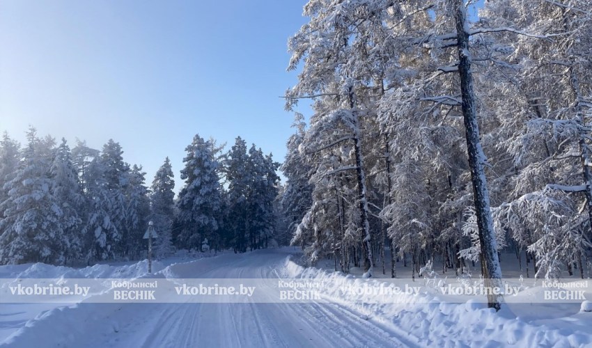 Аномальный холод на подходе - что нам ждать от погоды на этой неделе
