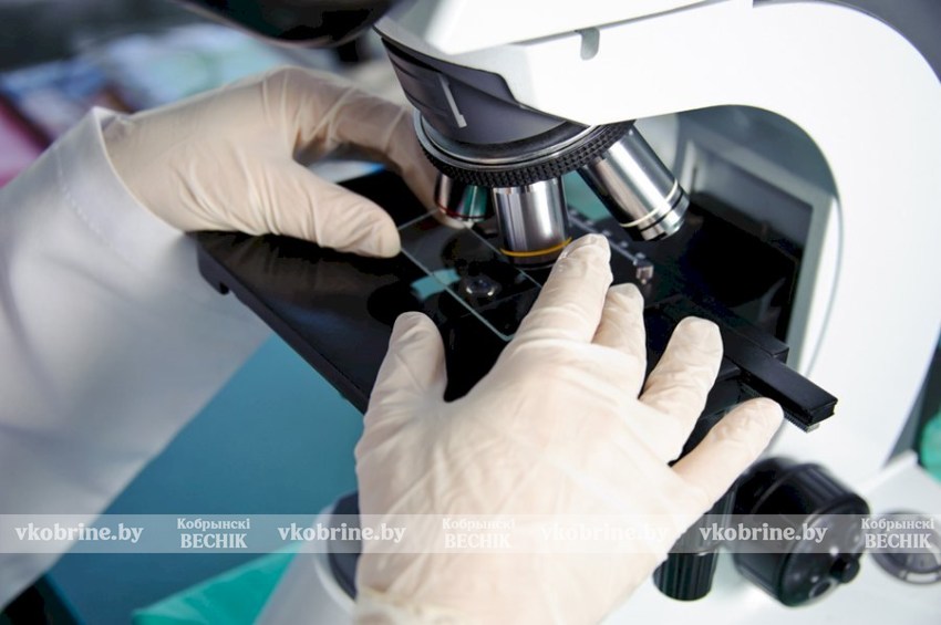 Искусственная кровь, гигантский вирус и «кнопка лени» — пять научных прорывов в медицине