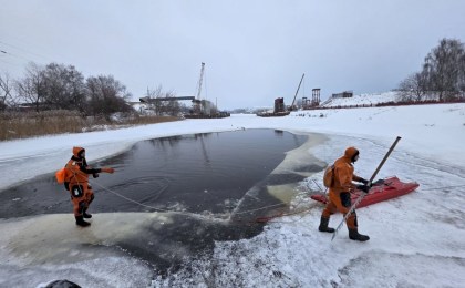 Посмотрите, как в Кобрине спасали уток (ВИДЕО)