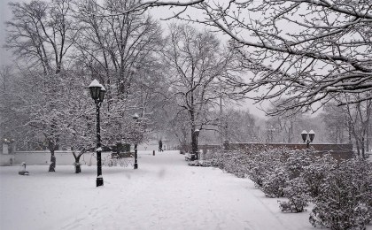 Январская оттепель с подвохом: синоптики предупреждают о сложной неделе