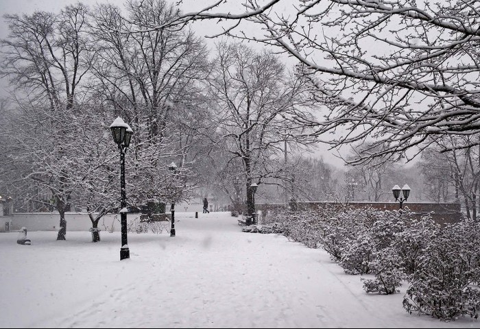 Январская оттепель с подвохом: синоптики предупреждают о сложной неделе