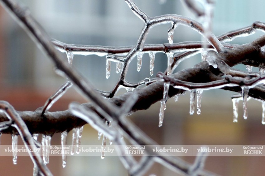 Внимание, гололед! В Беларуси 26 января объявлен оранжевый уровень опасности