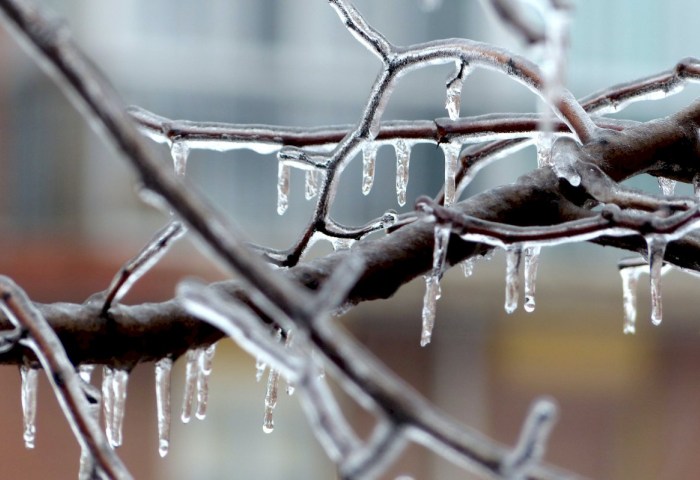 Внимание, гололед! В Беларуси 26 января объявлен оранжевый уровень опасности